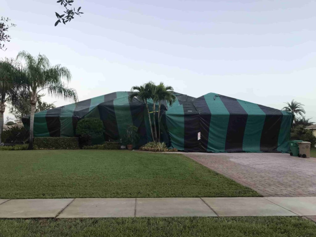 miami termite tent